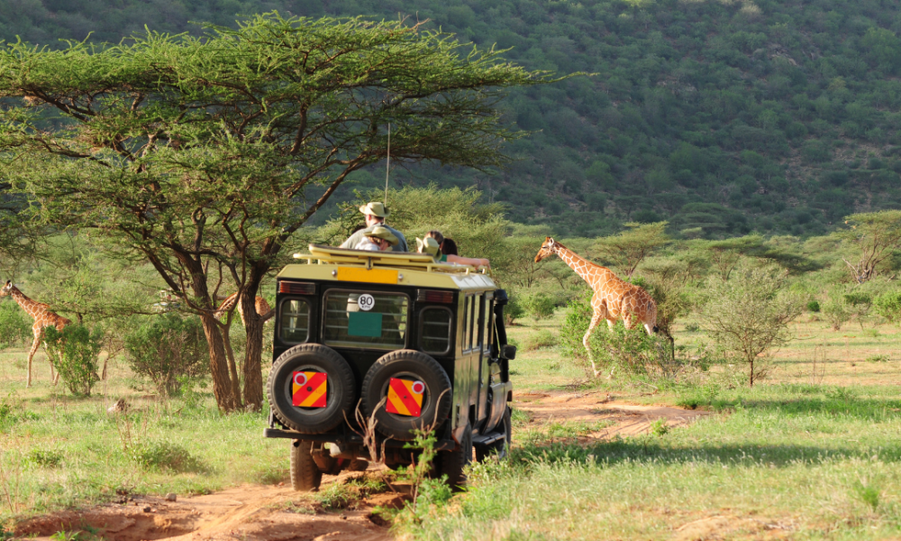 Safari Tanzanie Safari Tanzanie